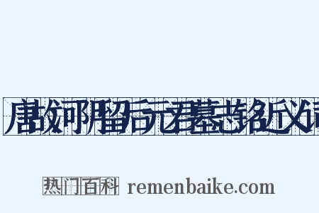 唐故河阴留后元君墓志铭近义词是什么意思的图片